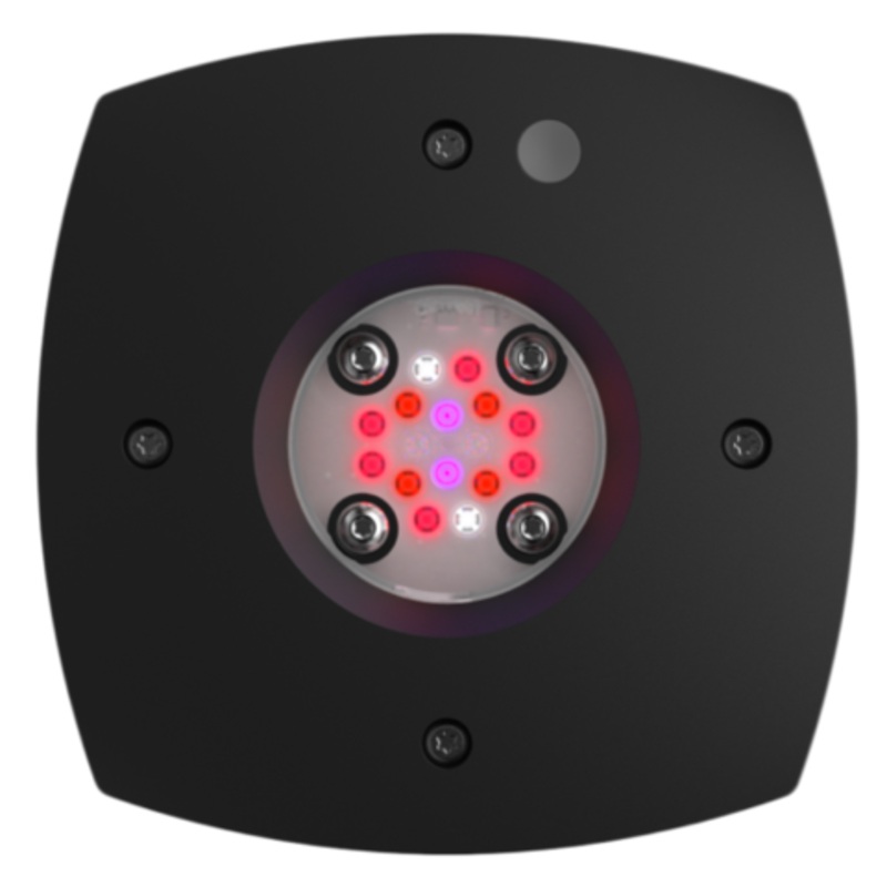 Aqua Illumination - Prime Fuge 16HD
