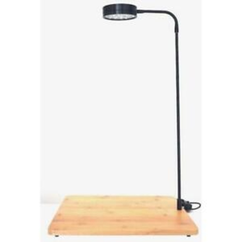 Bioscape Landscape Bamboo LED
