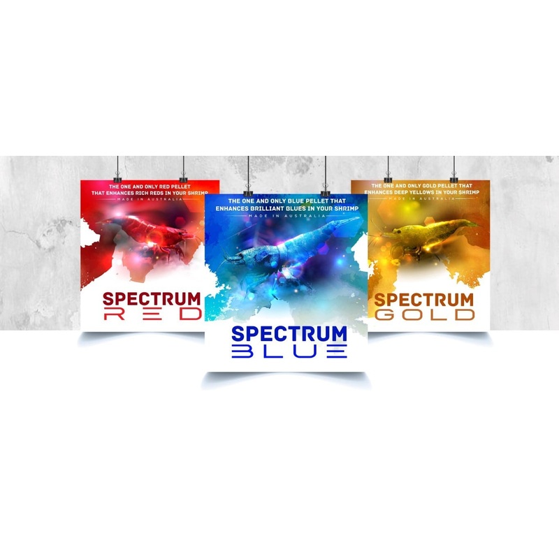SAS Shrimp Food - Spectrum Premium Pellets