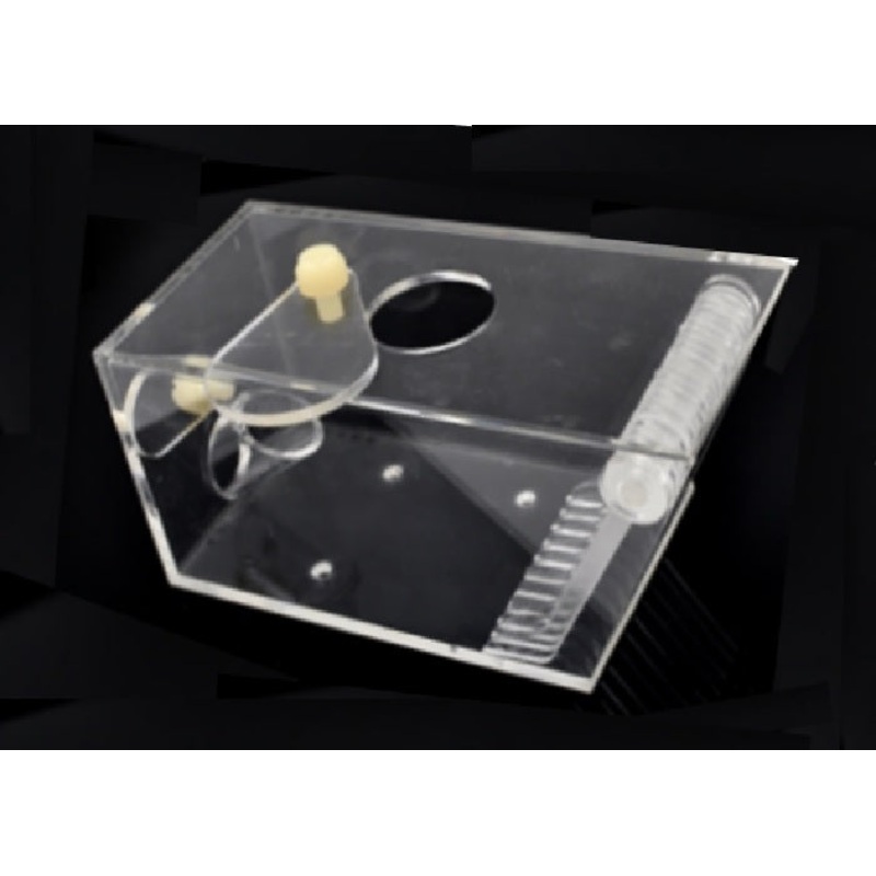 Coral Box Crab Catch Box
