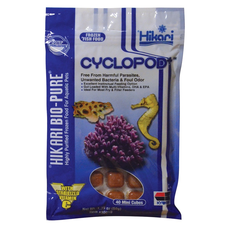 Hikari Bio-Pure Frozen Cyclopod  - 1.75 oz Cubes