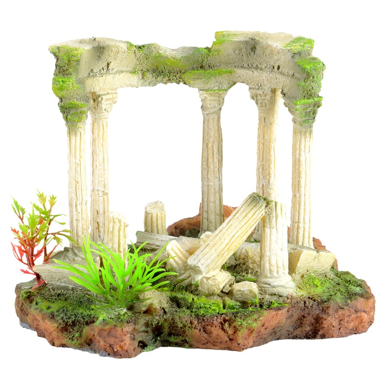 Roman Ruins
