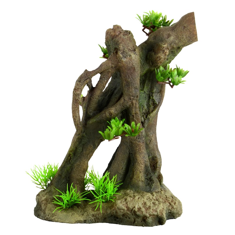 Underwater Treasures - Tree Root