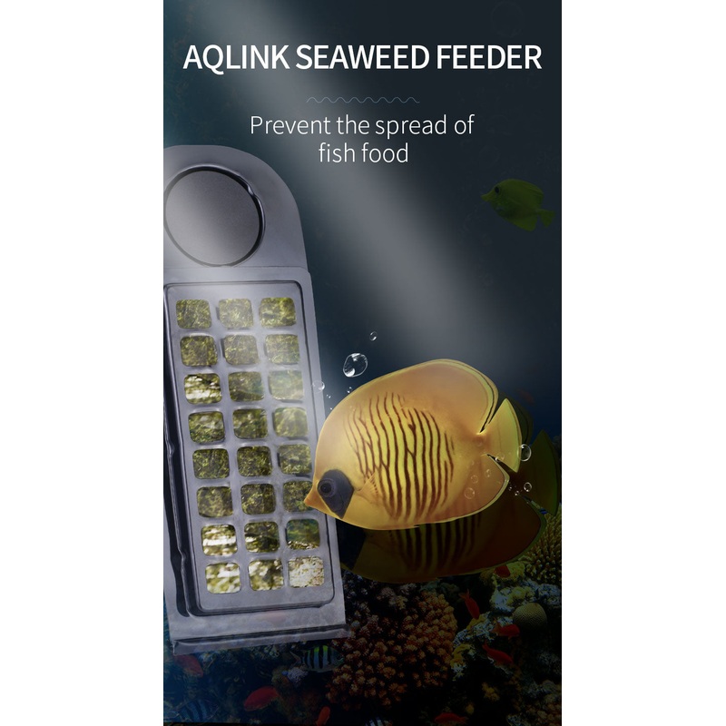 Aquarium Seaweed Feeder