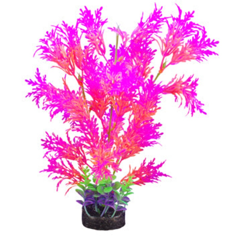 Marina iGlo Plants