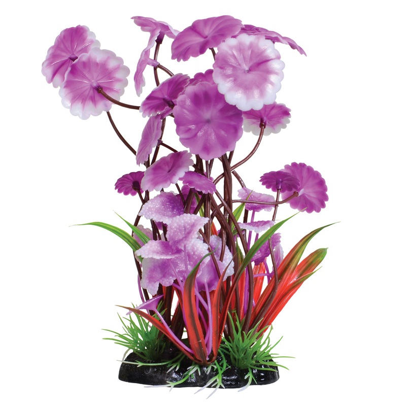 Fuscia Love Lily - 8"