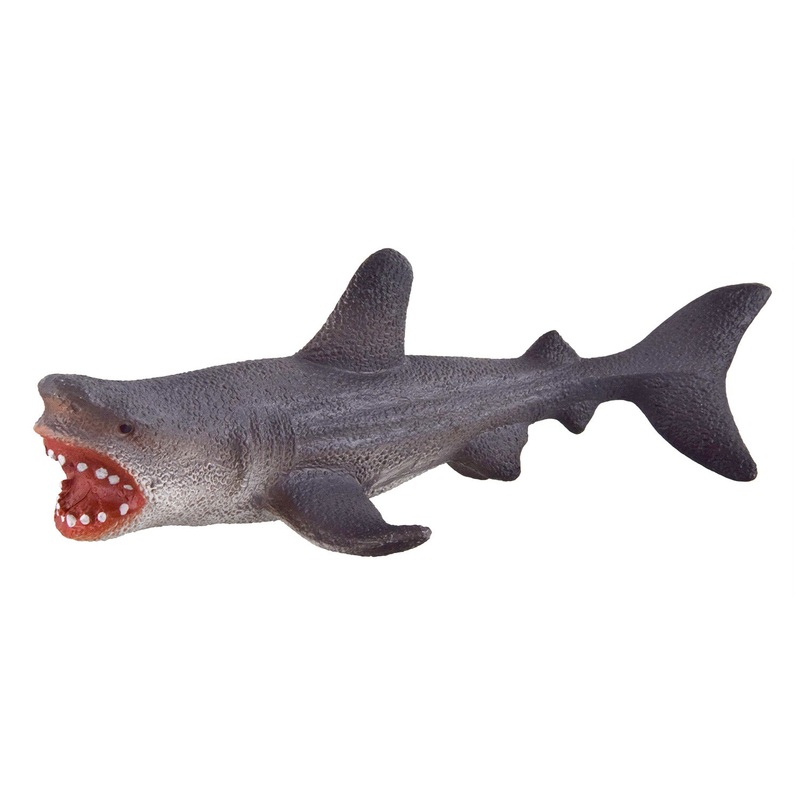 Grey Shark
