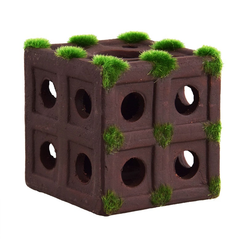 Shrimp Cubes - 2.5"