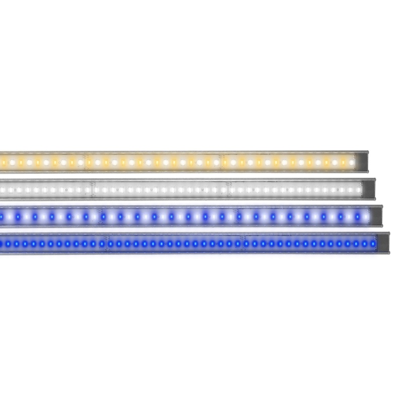 Lumi Lite LED