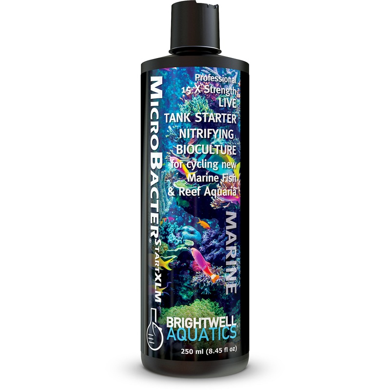 Brightwell MicroBacterSTARTXLM 250ml