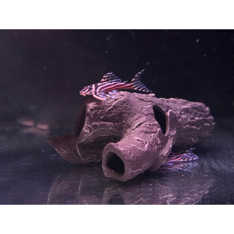 Pleco Ceramics  - Snag Fish Hideout