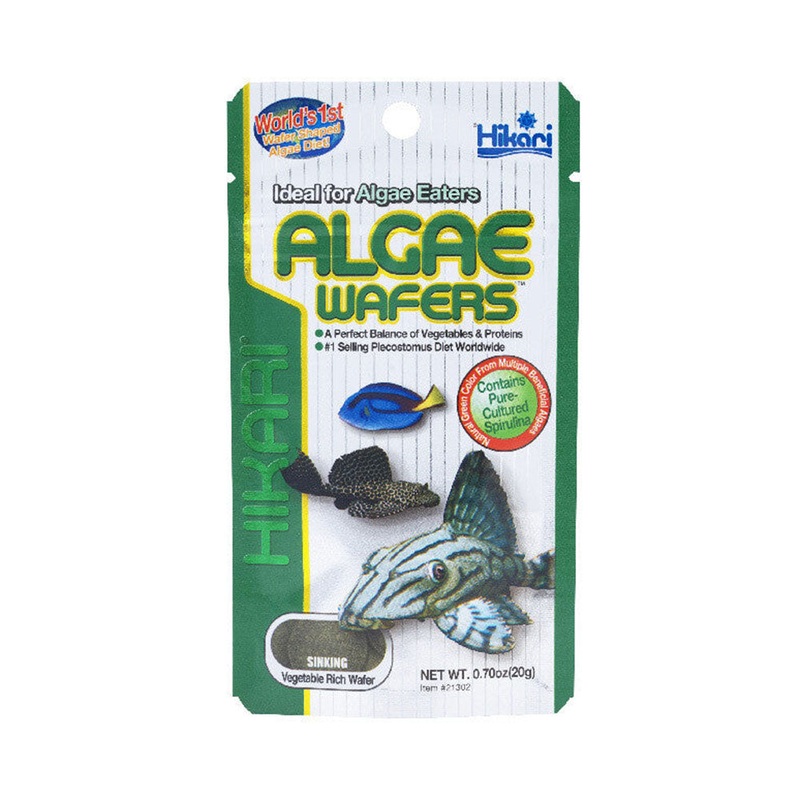 Hikari Algae Wafers