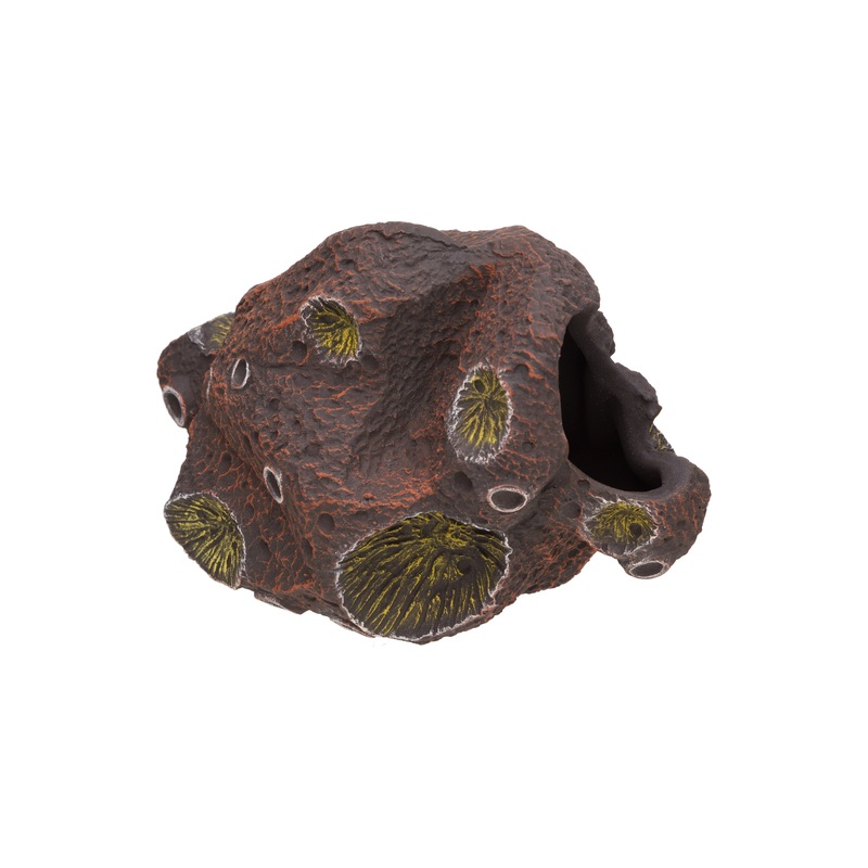 Pleco Ceramics Meteorite Cichlid stone