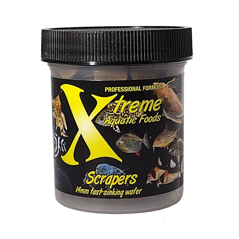 Xtreme Bottom Wafers Scrapers
