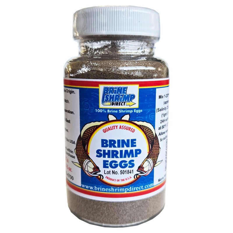 Premium Grade Brine Shrimp Eggs