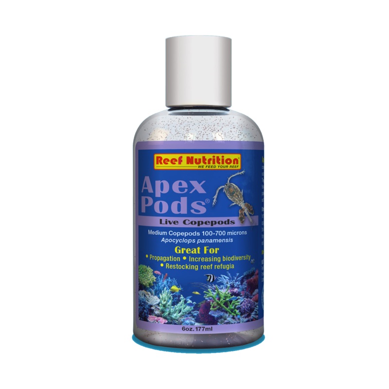 Reef Nutrition Apex-Pods  Live Apocyclops panamensis copepods - 6oz