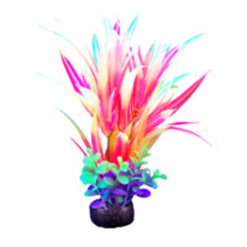 Marina iGlo Plant - 14 cm (5.5 in)