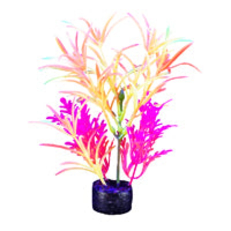 Marina iGlo Plant - 19 cm (7.5 in)