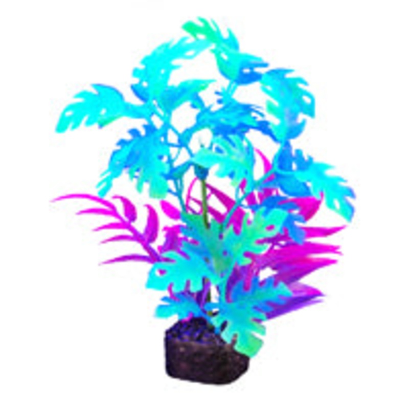 Marina iGlo Plant - 19 cm (7.5 in) Marina