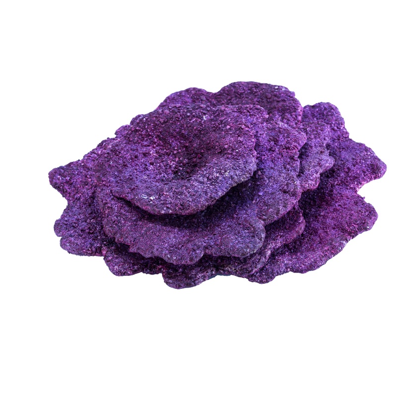Real Reef Mini Plate Coral