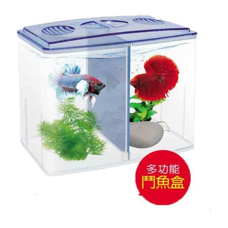 UP  Betta Box D-651
