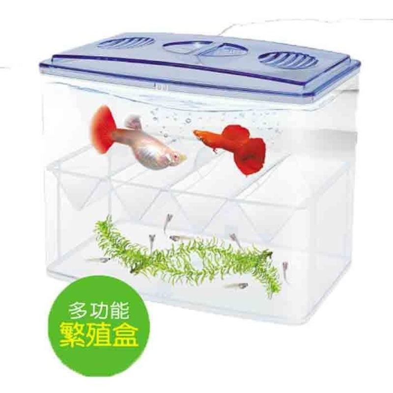 UP Breeder Box D-652