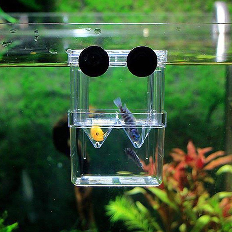 HUIMEI Divider Tank