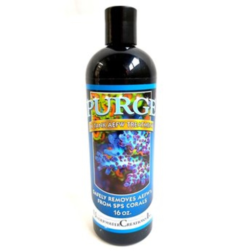 Purge 16oz