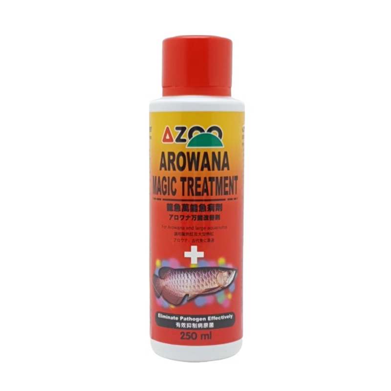 Azoo Arowana Magic Treatment