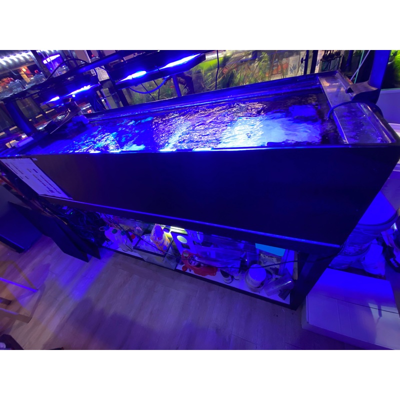 6 Feet Frag Tank + Sump + Piping