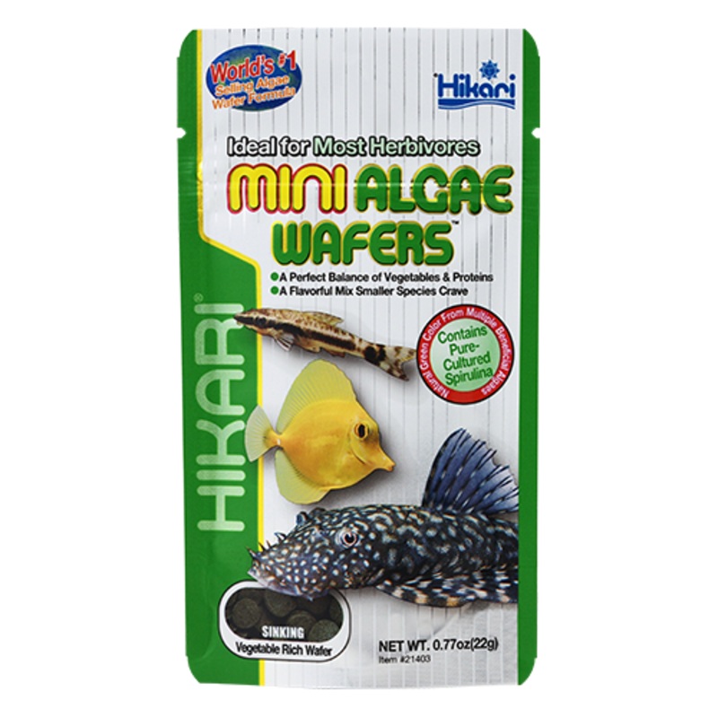 Hikari  Algae Wafers ( Mini)