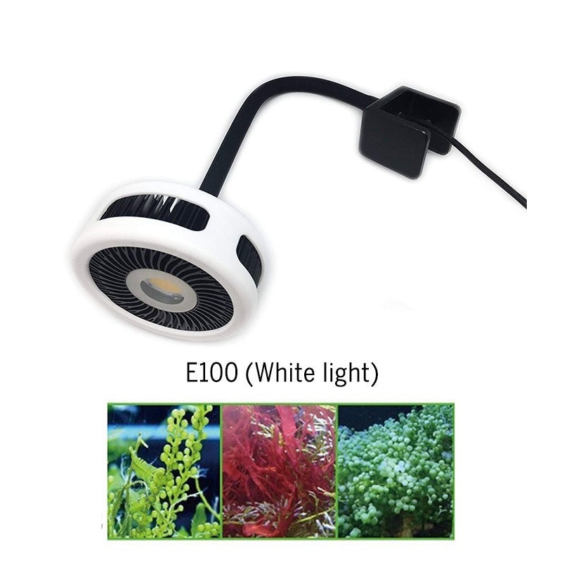 ZETLIGHT E100 Algae Light 12W (WHITE LED)