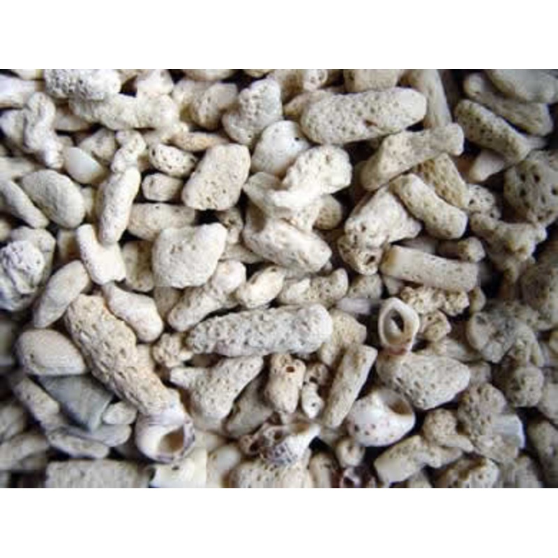 Coral Sand Size no. 20