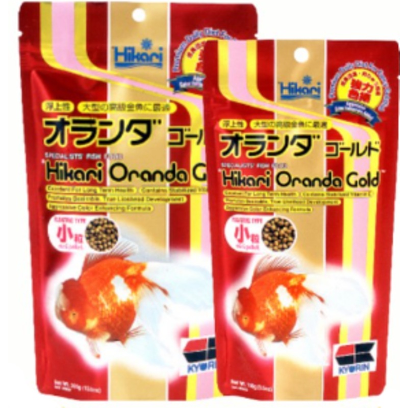 Hikari Oranda Gold Mini