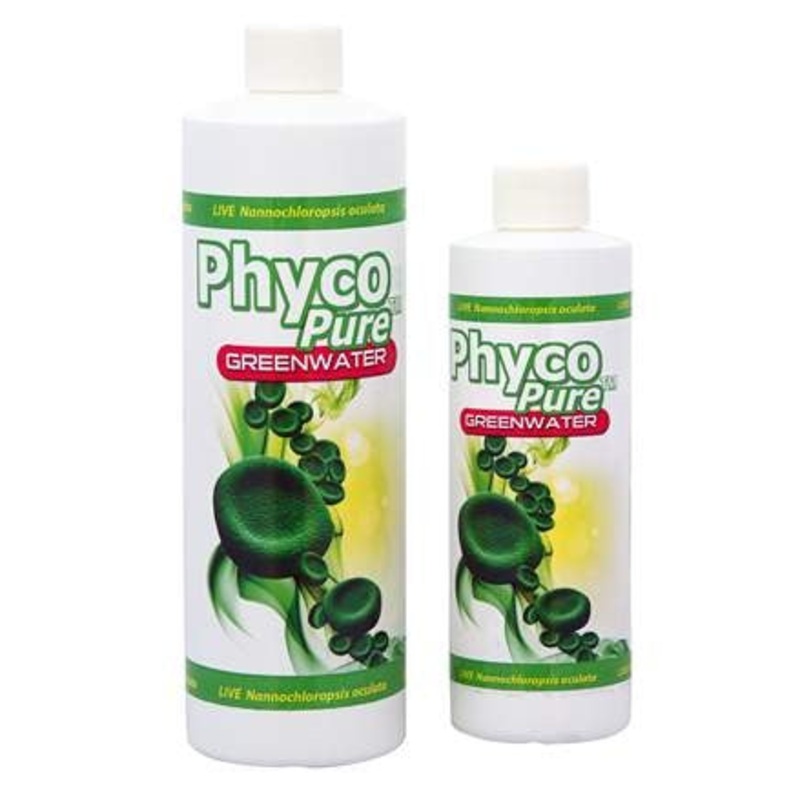 PhycoPure Greenwater(8oz)
