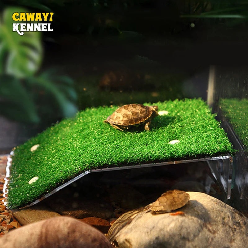 Turtle Climbing Platform
