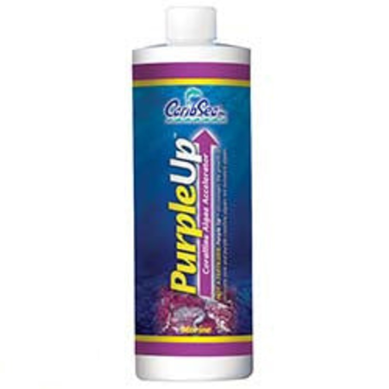 CaribSea Purple Up Coralline Algae Accelerator