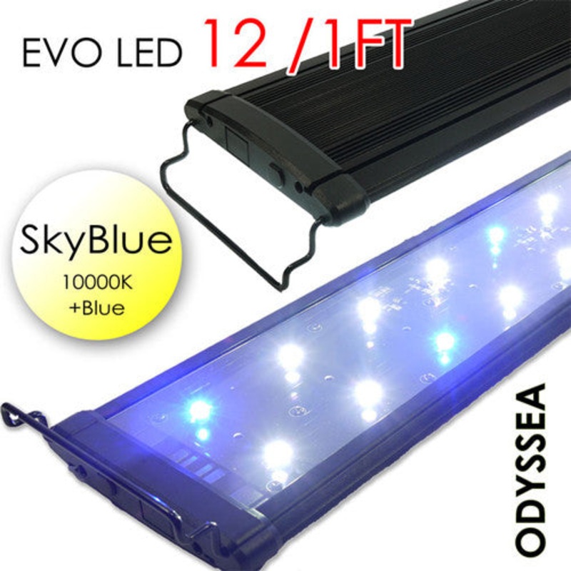 ODYSSEA EVO Led 12" 18W Skyblue (10000K+blue)