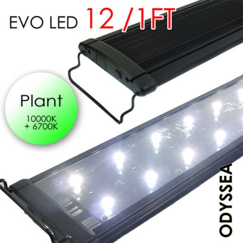 ODYSSEA EVO Led 18" 30W (PLANT)