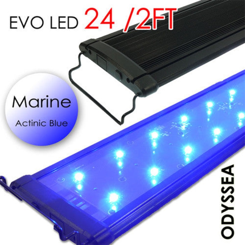 ODYSSEA EVO Led 24" 48W (MARINE- ALL BLUE)