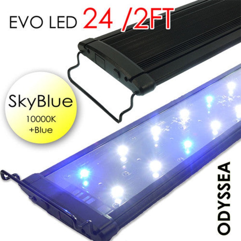 ODYSSEA EVO Led 24" 48W Skyblue (10000K+blue)