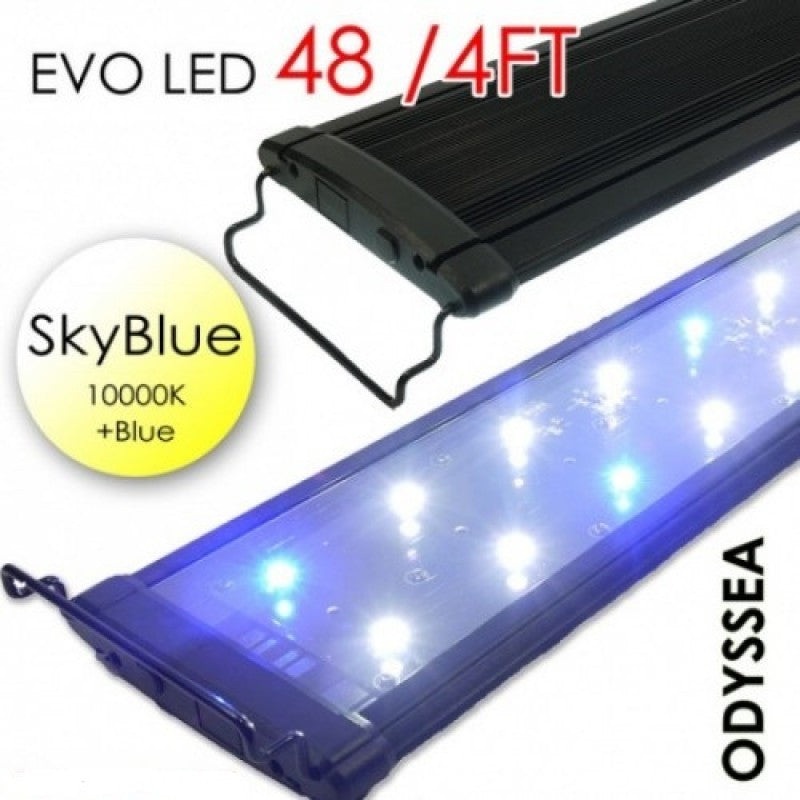 ODYSSEA EVO Led 48" 96W Skyblue (10000K+Blue)