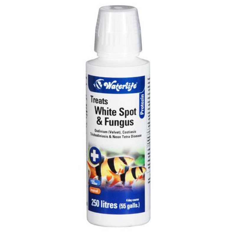 Waterlife Protozin