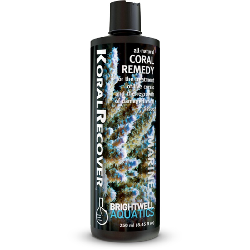 Brightwell Aquatics Koral Recover