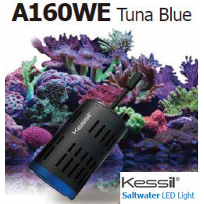 Kessil A160WE Controllable LED - Tuna Blue