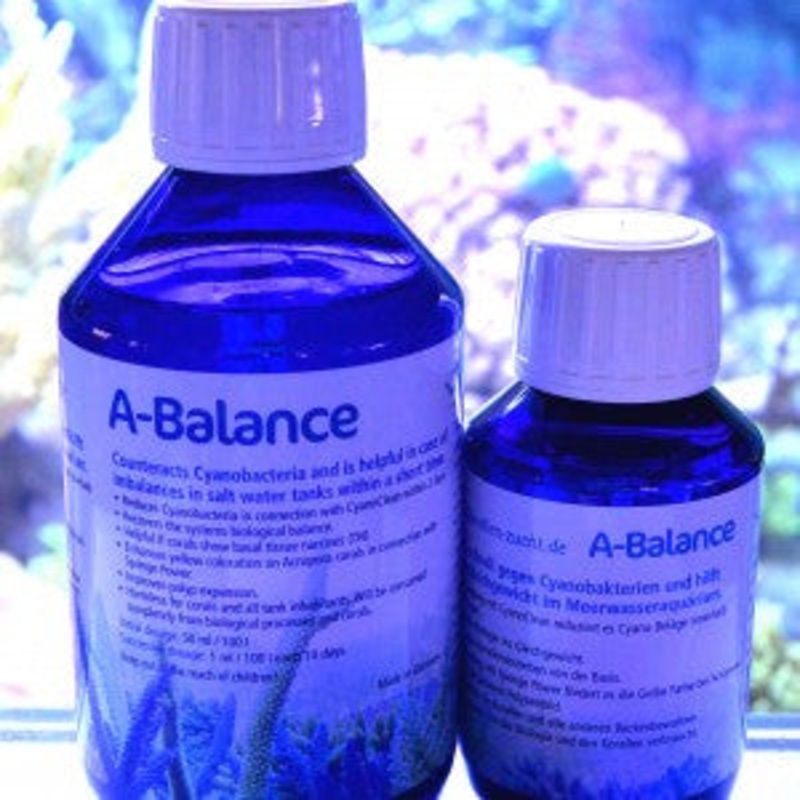 Korallen Zucht Pohl's A-Balance Concentrate