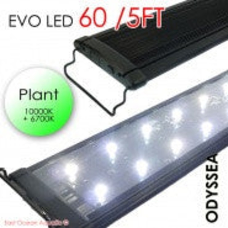ODYSSEA EVO Led 60" 132W (PLANT)