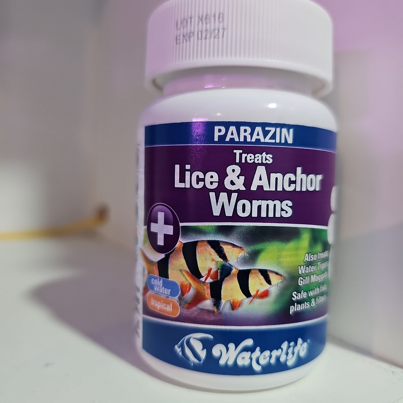 Waterlife Parazin 20 Tabs