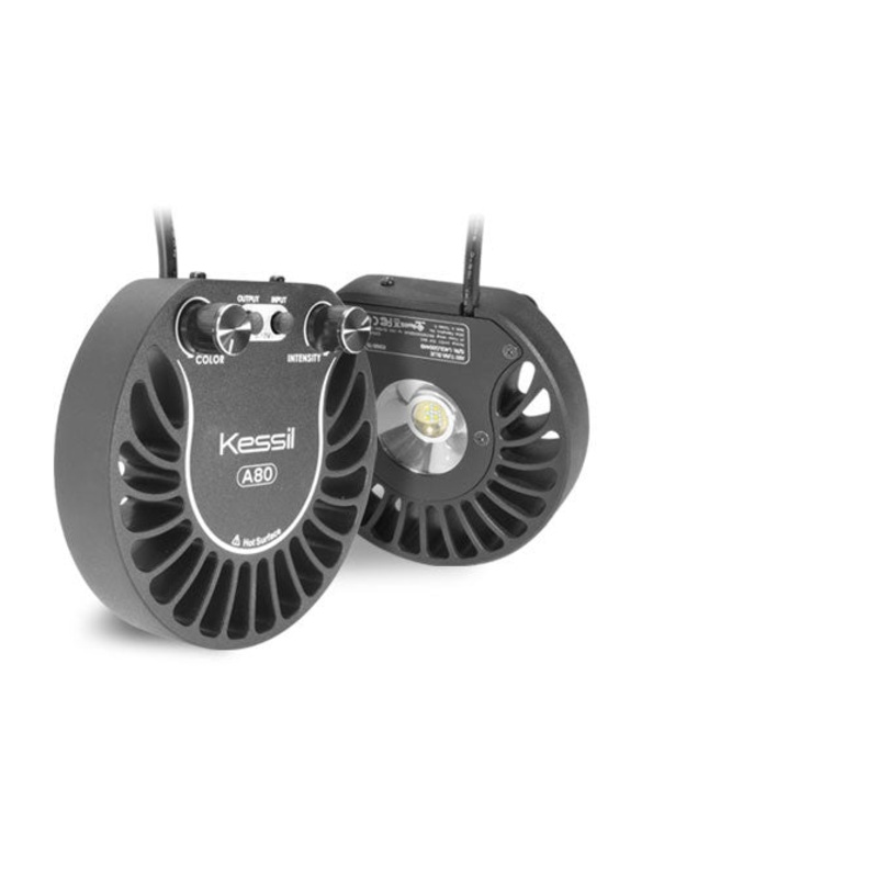 Kessil A80 Tuna Blue