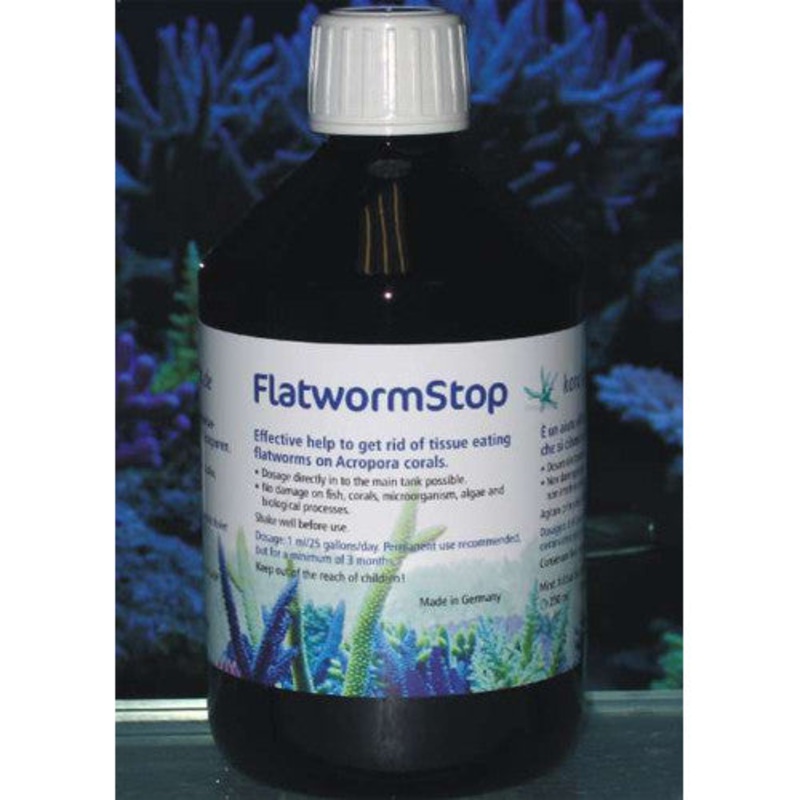Korallen-Zucht Flatworm Stop